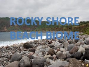 ROCKY SHORE BEACH BIOME Where are Rocky Shore