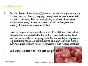 2 selsel darah 1 Sel darah merah erytrocyt