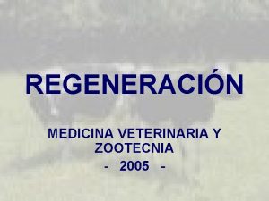 REGENERACIN MEDICINA VETERINARIA Y ZOOTECNIA 2005 INTRODUCCIN Proceso