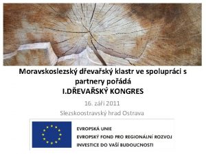 Moravskoslezsk devask klastr ve spoluprci s partnery pod