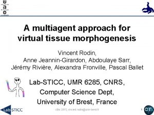 A multiagent approach for virtual tissue morphogenesis Vincent