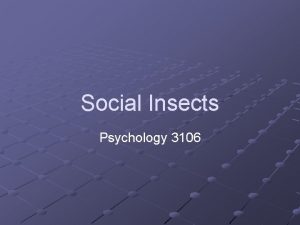 Social Insects Psychology 3106 Introduction Many Insects live