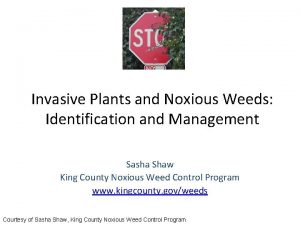 Invasive Plants and Noxious Weeds Identification and Management