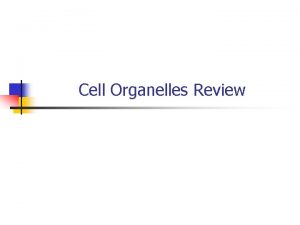 Cell Organelles Review Eukaryotic Cell Organelles and Function