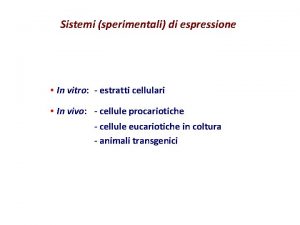 Sistemi sperimentali di espressione In vitro estratti cellulari