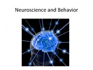 Neuroscience and Behavior Neural Communication Neural Communication Terminating