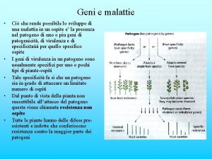 Geni e malattie Ci che rende possibile lo