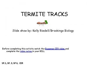 TERMITE TRACKS Slide show by Kelly RiedellBrookings Biology