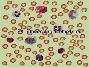 Es Emocromocitometrico Le Cellule Circolanti TIPI DI CELLULE