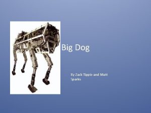 Big Dog By Zack Tippie and Matt Sparks