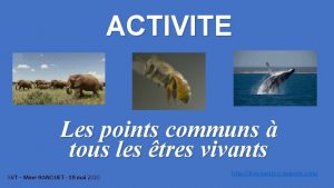 ACTIVITE Les points communs tous les tres vivants