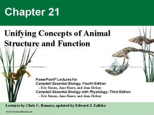 Chapter 21 Unifying Concepts of Animal Structure and