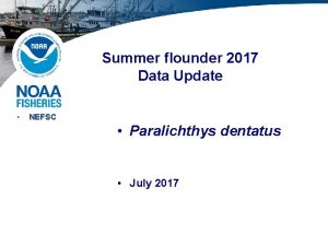 Summer flounder 2017 Data Update NEFSC Paralichthys dentatus