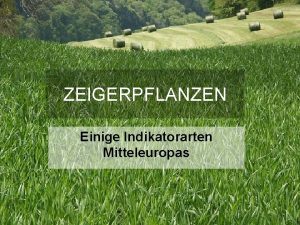 ZEIGERPFLANZEN Einige Indikatorarten Mitteleuropas kologie Biotische und abiotische