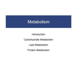 Metabolism Introduction Carbohydrate Metabolism Lipid Metabolism Protein Metabolism