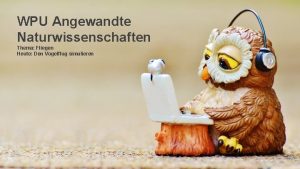 WPU Angewandte Naturwissenschaften Thema Fliegen Heute Den Vogelflug