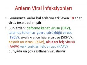 Arlarn Viral nfeksiyonlar Gu nu mu ze kadar