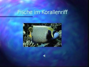 Fische im Korallenriff Anemonenfische n n n Erkennungsmerkmale