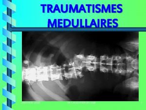 TRAUMATISMES MEDULLAIRES JANVIER 2008 IA CASS PERON Jol