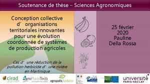 Soutenance de thse Sciences Agronomiques Conception collective dorganisations