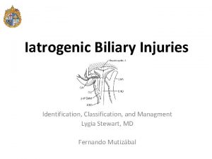 Iatrogenic Biliary Injuries Identification Classification and Managment Lygia