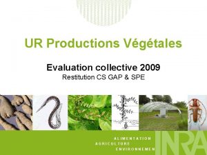 UR Productions Vgtales Evaluation collective 2009 Restitution CS