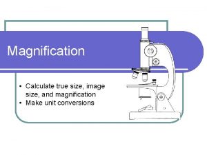Magnification Calculate true size image size and magnification