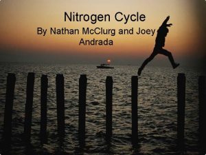 Nitrogen Cycle By Nathan Mc Clurg and Joey