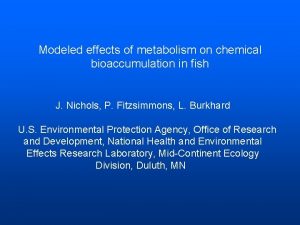 Modeled effects of metabolism on chemical bioaccumulation in