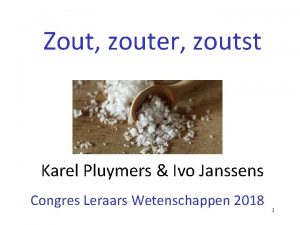 Zout zouter zoutst Karel Pluymers Ivo Janssens Congres