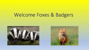 Welcome Foxes Badgers Our plan for the year