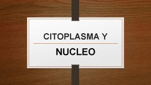 CITOPLASMA Y NUCLEO CITOPLASMA El citoplasma Consiste en