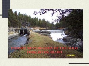 FISHERY RESTORATION OF THE GOLD FORK RIVER IDAHO