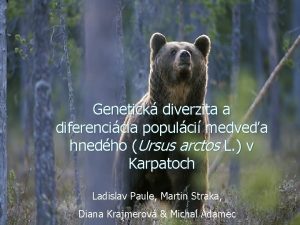 Genetick diverzita a diferencicia populci medvea hnedho Ursus