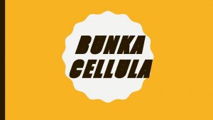 BUNKA CELLULA BUNKA zkladn stavebn a funkn jednotka