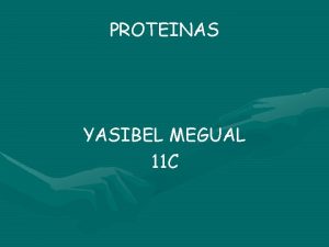 PROTEINAS YASIBEL MEGUAL 11 C Las protenas son
