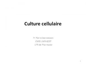 Culture cellulaire Pr Pierre Jeannesson CNRS UMR 6237