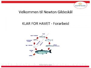 Velkommen til Newton Gildeskl KLAR FOR HAVET Forarbeid