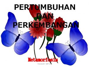 Apa yang dimaksud dari heterometabola