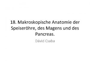 18 Makroskopische Anatomie der Speiserhre des Magens und