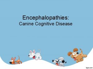 Encephalopathies Canine Cognitive Disease Encephalopathies Forebrain Altered mentation