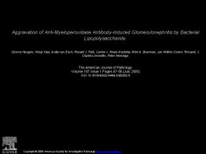 Aggravation of AntiMyeloperoxidase AntibodyInduced Glomerulonephritis by Bacterial Lipopolysaccharide