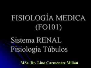 FISIOLOGA MEDICA FO 101 Sistema RENAL Fisiologa Tbulos