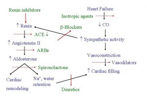 Renin inhibitors Renin Heart Failure Inotropic agents Blockers