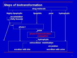 Steps of biotransformation drug molecule Highly lipophyllic lipophilic