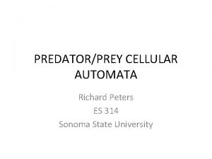 PREDATORPREY CELLULAR AUTOMATA Richard Peters ES 314 Sonoma