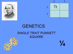 T t T Tt t GENETICS SINGLE TRAIT