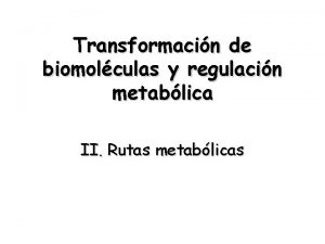Transformacin de biomolculas y regulacin metablica II Rutas