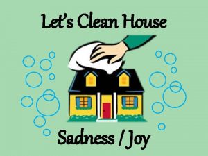 Lets Clean House Sadness Joy Lets Clean House