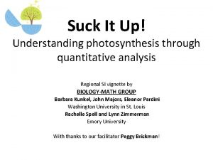 Suck It Up Understanding photosynthesis through quantitative analysis